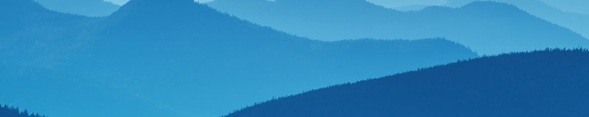 worldwide-network-1486520299386 worldwide-network-1486520299386